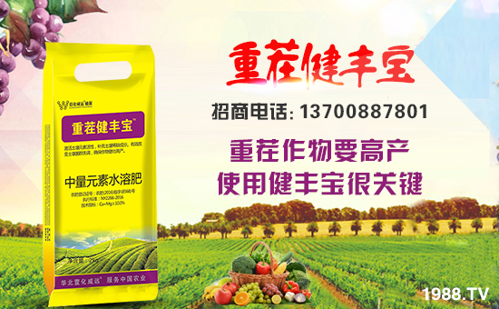 ���滯���h��ף������µ�һ������w�������f��������