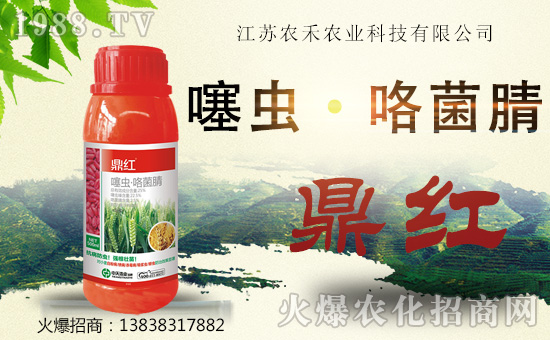 ���滯���h��ף������µ�һ������w�������f�����⣡