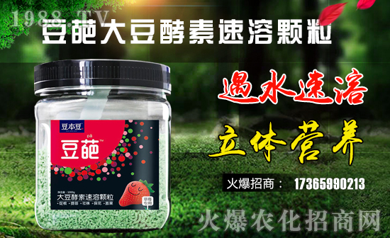 ��������������ף������µ�һ�����Ҹ����M(m��n)���H�Қg��(l��)��