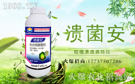 ����ԣ�r(n��ng)�I(y��)��ף������µ�һ�������w�������f��������