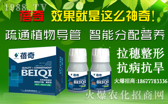 ���v�S�r(n��ng)�I(y��)��ף������µ�һ����ؔԴ�L�L�������d����