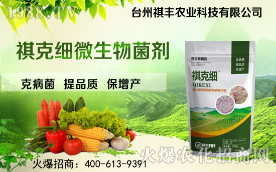 �����S�r(n��ng)�I(y��)��ף������µ�һ�������w�������H�Қg��(l��)��