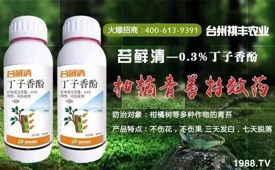 �����S�r(n��ng)�I(y��)��ף������µ�һ�������w�������H�Қg��(l��)��