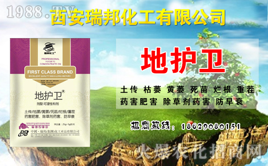 ��������ףȫ�������´��󼪣��f��������