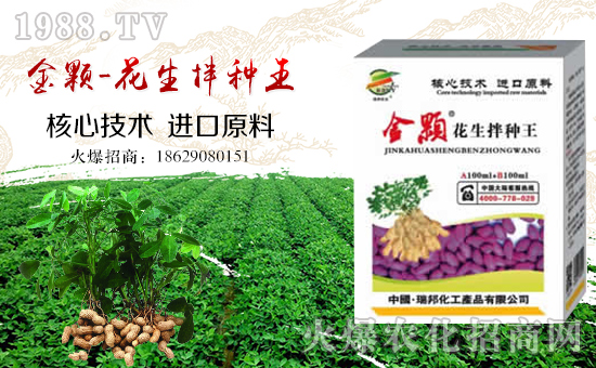 ��������ףȫ�������´��󼪣��f��������