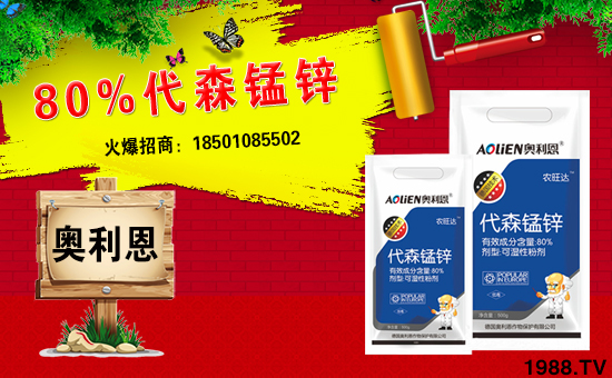 �����W������ף������µ�һ���﹤�����������������