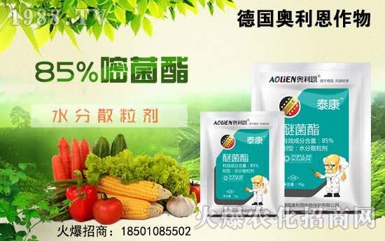 �����W������ף������µ�һ���﹤�����������������