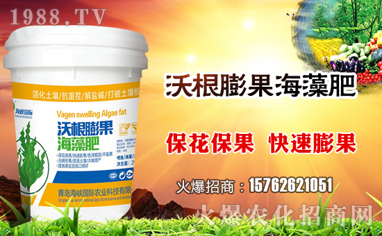 �����{��Ұ��ףȫ�������i������f�����⣡