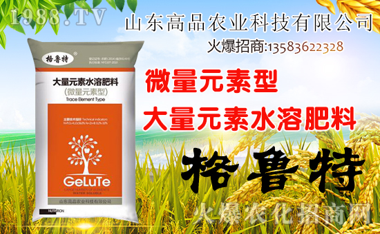 ��ɽ�|��Ʒ���o��Ұ�������ף��ؔ(c��i)Դ�V�M(j��n)�������³����f��������