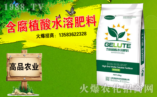 ��ɽ�|��Ʒ���o��Ұ�������ף��ؔ(c��i)Դ�V�M(j��n)�������³����f�����⣡