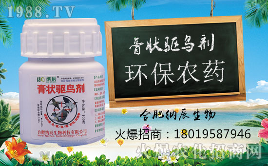 ���{�����ף���i���д��\��ؔ�\�L�L����