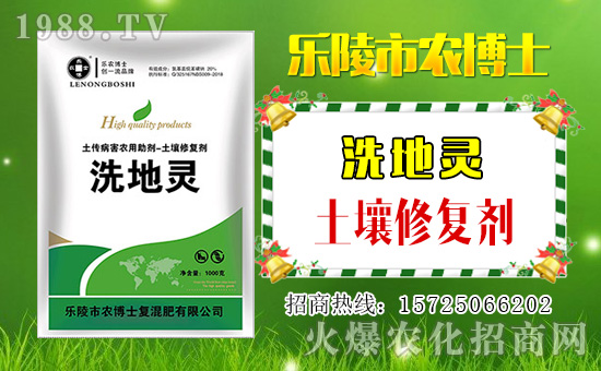 ���r(n��ng)��ʿ��ף���2019��������\(y��n)�������ո�������