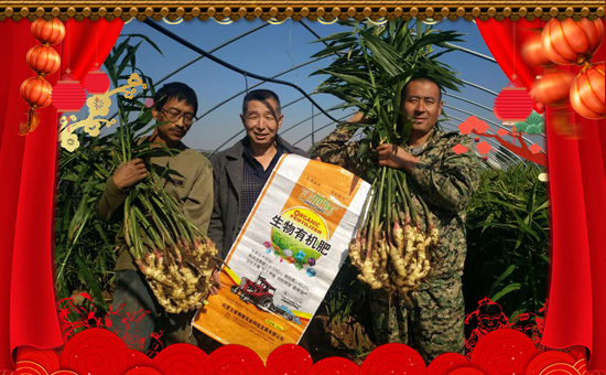     �C(j��)�����ں������������������ں����м���I(y��)���ں����ЉѴ�����(m��ng)�����ں������v�w��ֵ���´��ѹ�(ji��)��(l��i)�R֮�H����(n��i)�ɹŽ��¡�r(n��ng)�I(y��)�Ƽ��l(f��)չ���޹�ףԸ��λ��(j��ng)�N(xi��o)�����ѣ����w������ؔ(c��i)Դ�V�M(j��n)���f(w��n)�������