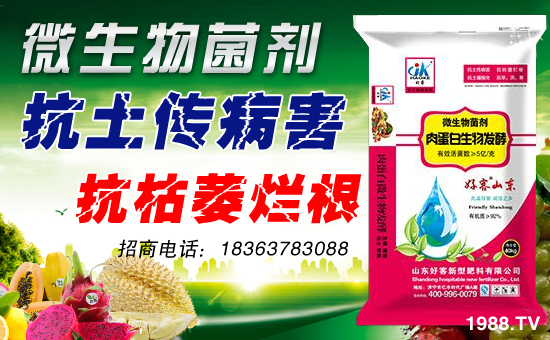 ��ɽ�|�ÿ͡�ף�����������w�������f�����⣡