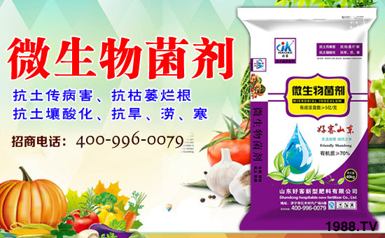 ��ɽ�|�ÿ͡�ף�����������w�������f�����⣡