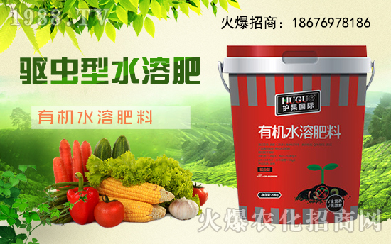 ���o(h��)�����H��ȫ�w�T��ף�V���r(n��ng)�Y���т�����(ji��)������Ҹ����M��