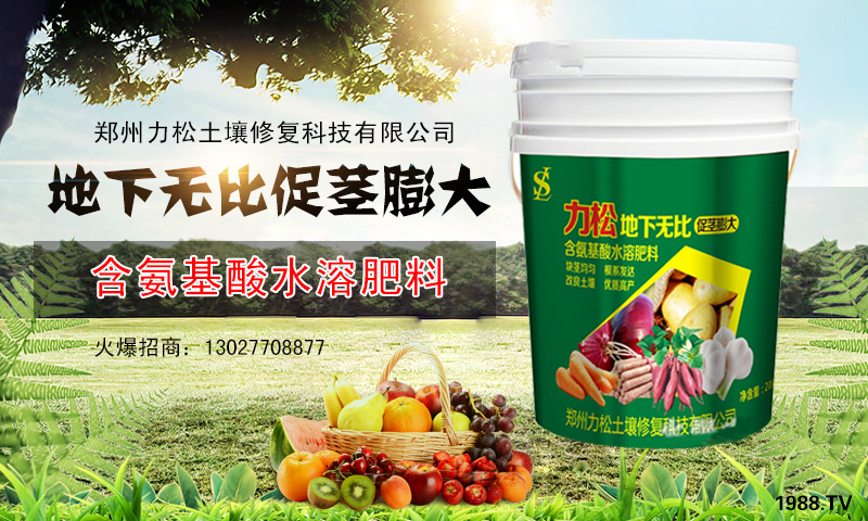 ���������ɡ�ף������µ�һ�������w�������f��������