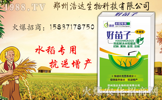 �����_(d��)�����ף������������옷�����i���������