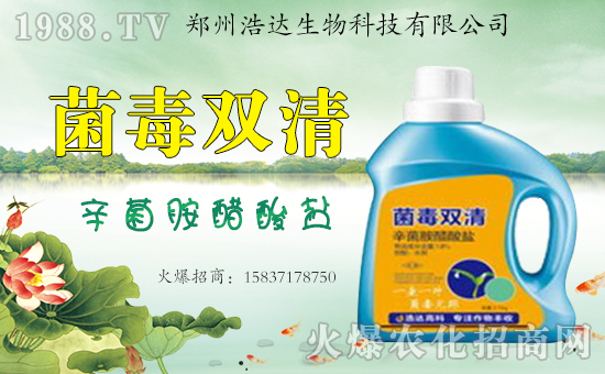 �����_(d��)�����ף������������옷�����i���������