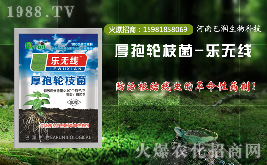 ���͝����ף������µ�һ�������w���������������