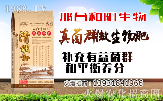 ��������ף������µ�һ�������w�������f�����⣡