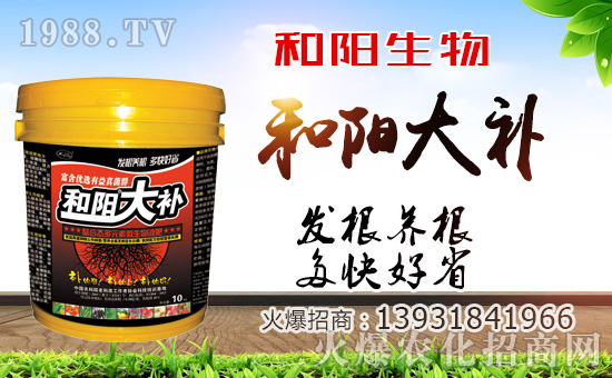 ��������ף������µ�һ�������w�������f��������