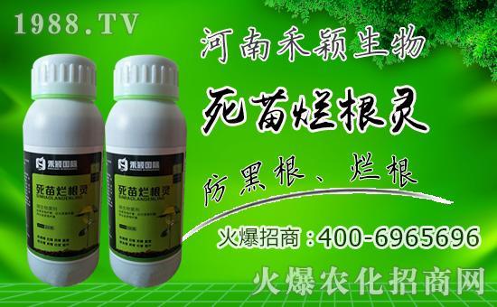 ���̷f���ף������µ�һ���������d¡���f(w��n)��������