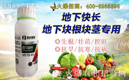 ���̷f���ף������µ�һ���������d¡���f(w��n)�����⣡