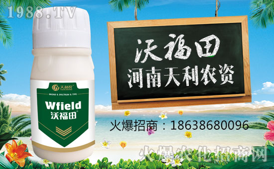 �������r(n��ng)�Y��ףԸһ·�������т����w�������i�꼪����