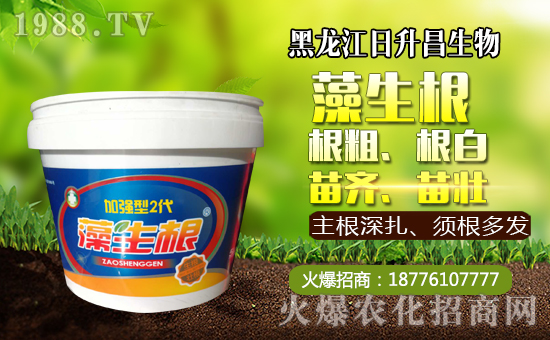     ����������������ף��������µ�һ�����_(k��i)������f(w��n)�����⣡