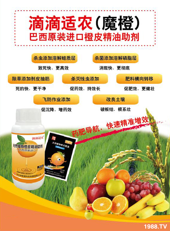 ���ӱ������á���ף��������������i���д��\(y��n)��