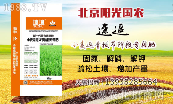     ��ꖹ��(gu��)�r(n��ng)��ף������µ�һ�������w�������H�Қg����