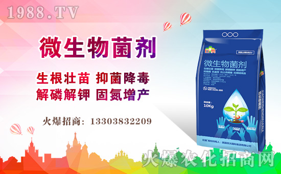 ��Ӣ�����և��H��ף����µ�һ������¶�࣡Ц�ݶ����