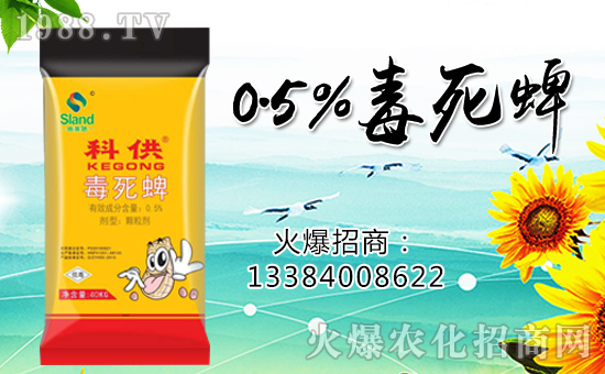 �����ɽ��r(n��ng)�I(y��)��ף������µ�һ���������³ɣ�����������