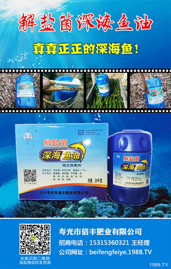 ���۹ⱶ�S�ʘI(y��)��ף��������µ�һ�����_������f��������