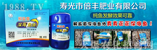 ���۹ⱶ�S�ʘI(y��)��ף��������µ�һ�����_������f��������