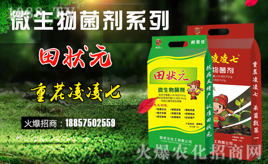 �����Ԫ������ףȫ����(j��ng)�N���i������f�����⣡