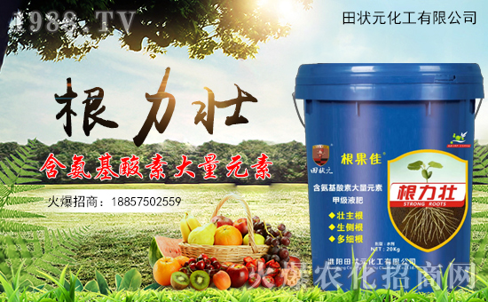 �����Ԫ������ףȫ����(j��ng)�N���i������f�����⣡