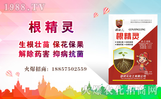 �����Ԫ������ףȫ����(j��ng)�N���i������f��������