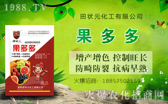 �����Ԫ������ףȫ����(j��ng)�N���i��󼪣��f��������