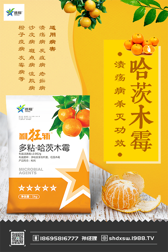 甘藍(lán)黑斑病危害這么大，到底該如何防治？快來看看吧！
