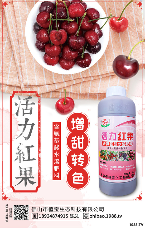 冬小麥播種需要注意些什么？常見(jiàn)冬小麥播種誤區(qū)