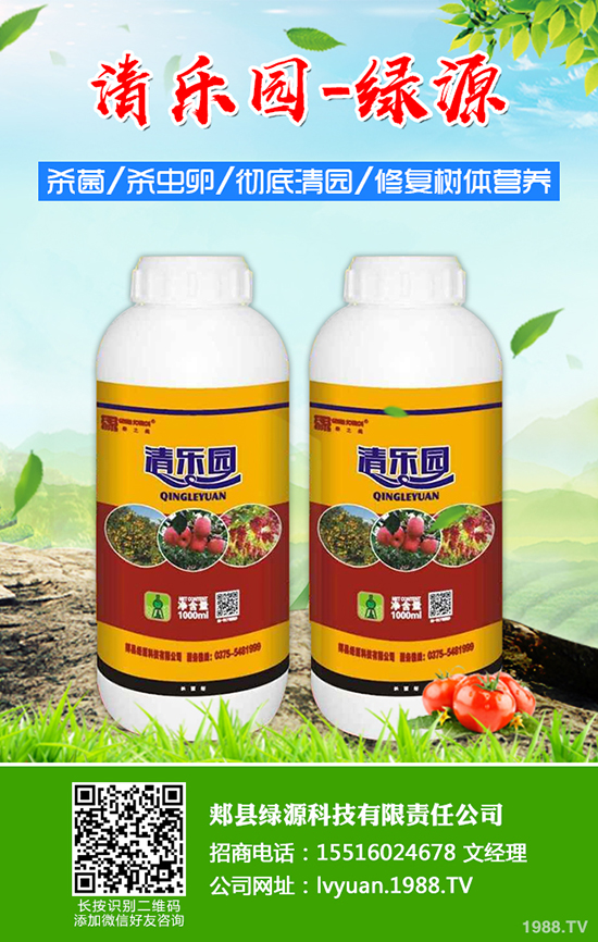 草莓如何施底肥，草莓底肥施用方法及注意事項(xiàng)！