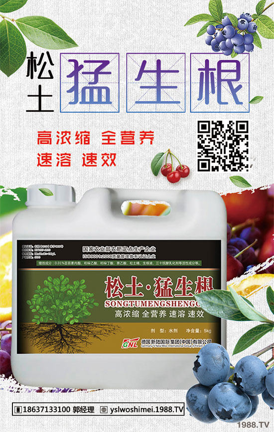 小麥苗期為什么死苗嚴(yán)重？小麥出苗期死苗咋補(bǔ)救？