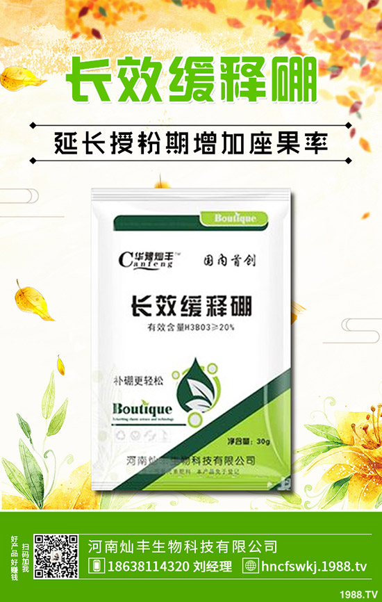 金錢草和銅錢草有什么不同？金錢草和銅錢草的區(qū)別哪些？