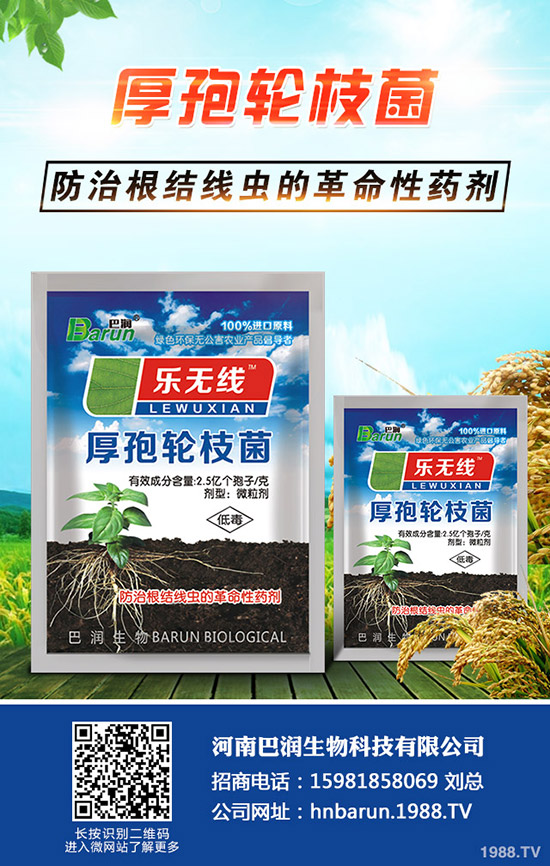 三角梅怎么養(yǎng)，三角梅的養(yǎng)殖方法和注意事項(xiàng)！