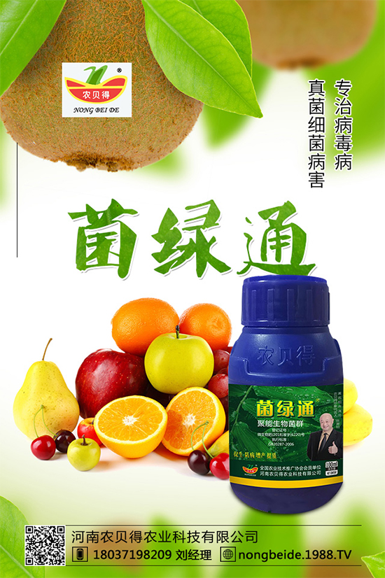 小麥如何正確選種？不知道如何選種的看這里！