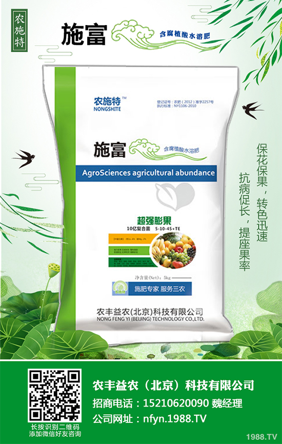 香蔥該如何栽培?秋茬香蔥高產(chǎn)技術(shù)要點