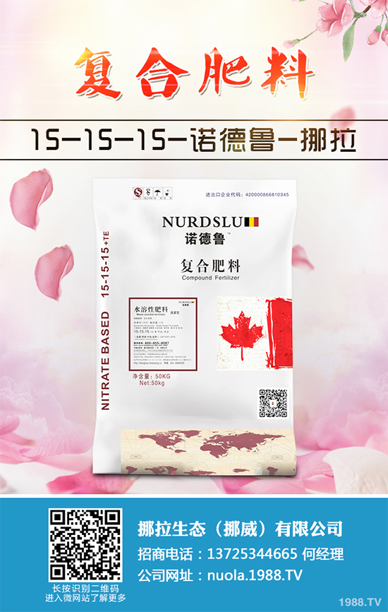 香蔥該如何栽培?秋茬香蔥高產(chǎn)技術(shù)要點