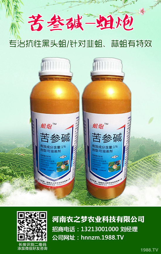 益母草的功效與作用，益母草的使用禁忌！